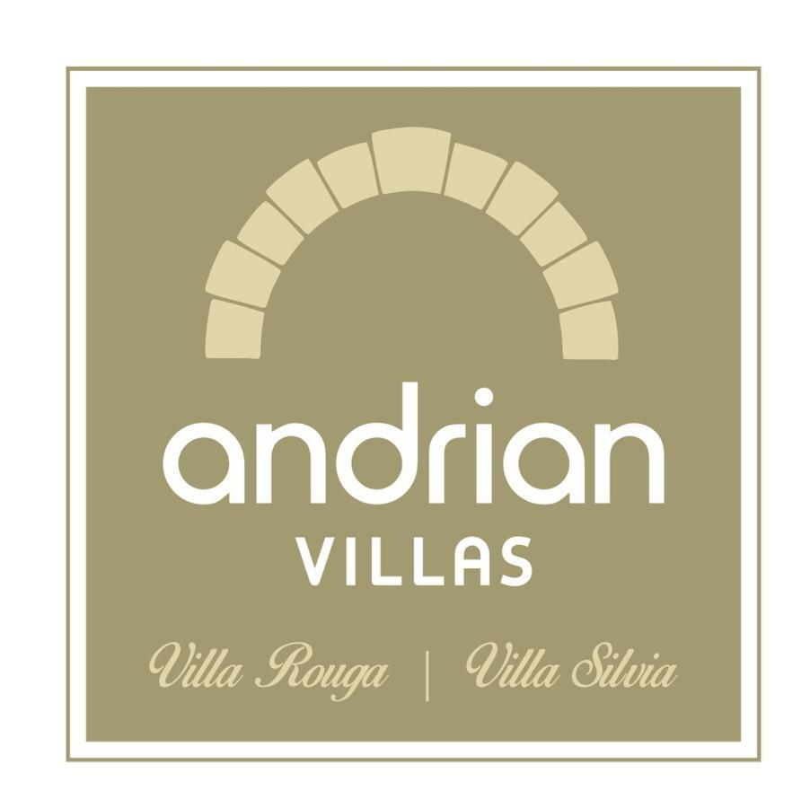 Villa Silvia By Andrian Villas Kalamitsion Alexandrou Bagian luar foto